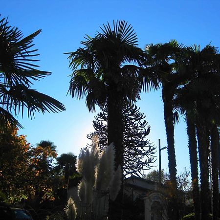 Villa Garni Gardenia Caslano Ngoại thất bức ảnh