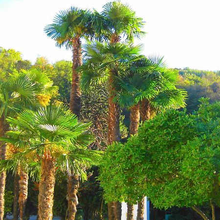 Villa Garni Gardenia Caslano Ngoại thất bức ảnh